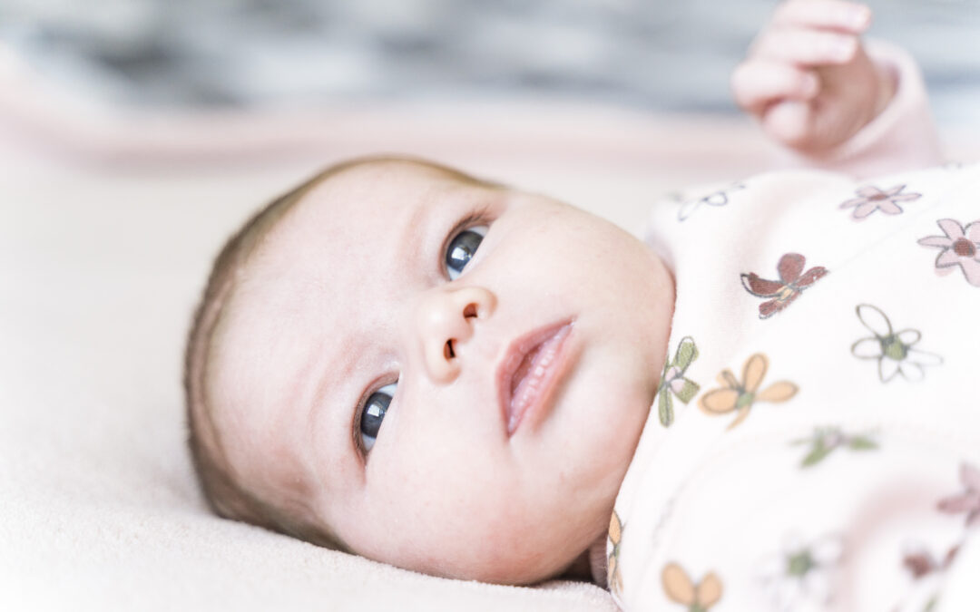 Newbornshoot Etten-Leur